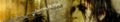 LDbanner.jpg